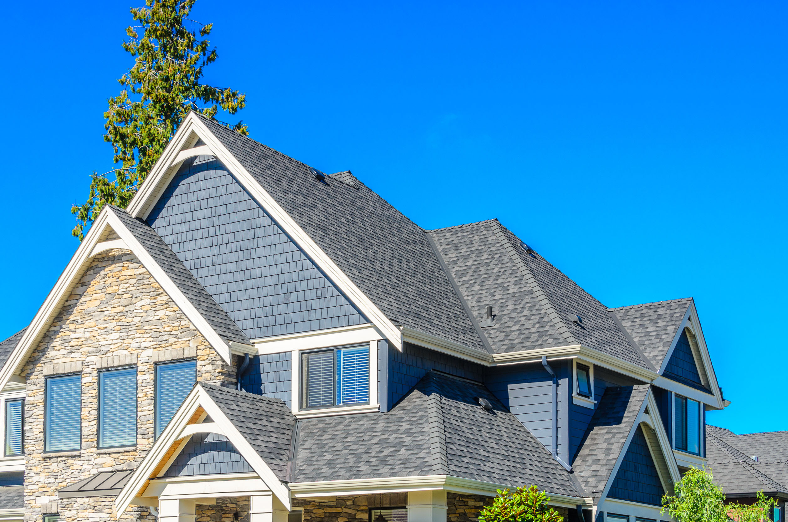 Signs You Need Roofing Services ASAP